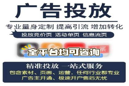 百度品牌专区推广的成效与案例